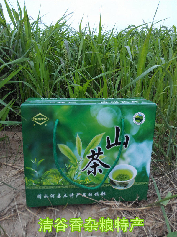 内蒙古山区野山茶黄芪茶花草茶绿茶清水河黄金茶礼盒装包邮