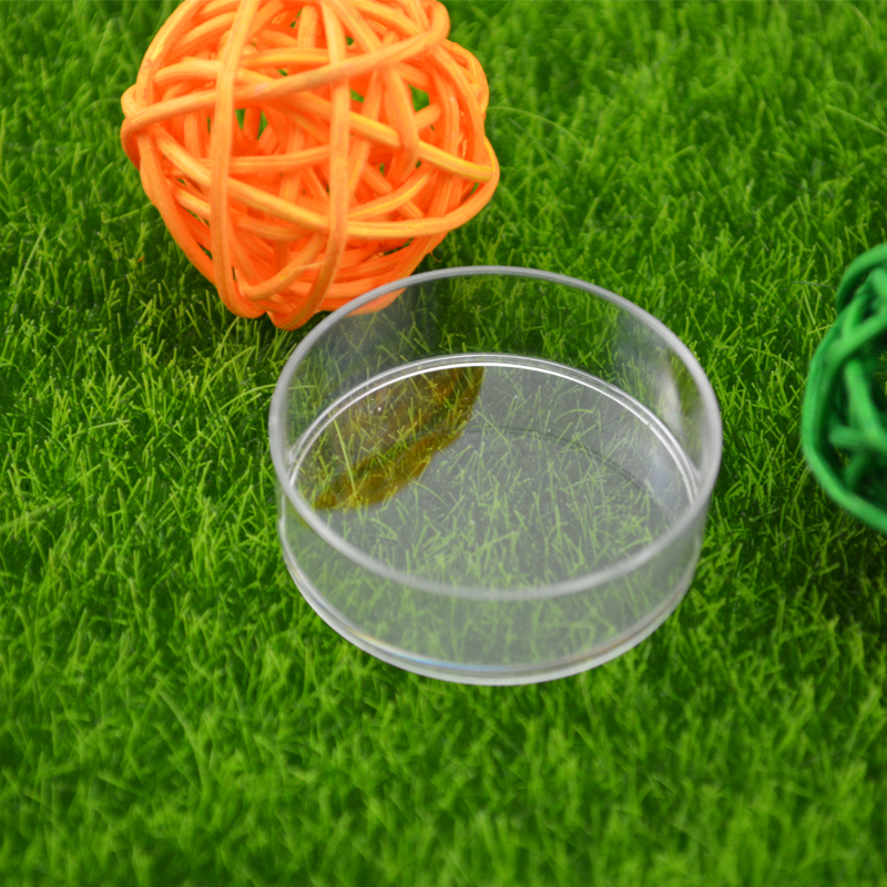 施王蚁馆 蚂蚁喂食盘 昆鸣虫喂食盘 喂食器 食物碟盘 高1cm 3个