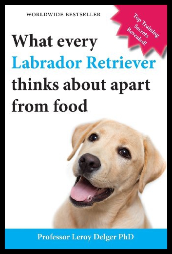 美国库房发货，通常付款后5-8周到货！