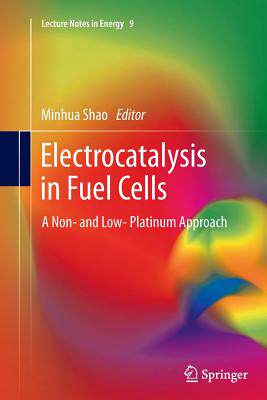 【预订】Electrocatalysis in Fuel Cells: A No...