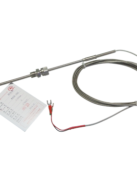 WREK-101铠装热电偶E型 感温线补偿线 探针式温度传感器 工业测温