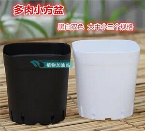多肉小方盆 黑白双色 多肉花盆  上方下圆盆超大透气底孔