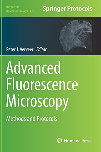 美国库房发货,通常付款后5-8周到货！