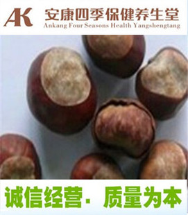 娑罗子 中药材 娑罗子 梭罗子 婆罗子 桫椤果 梭罗果包邮