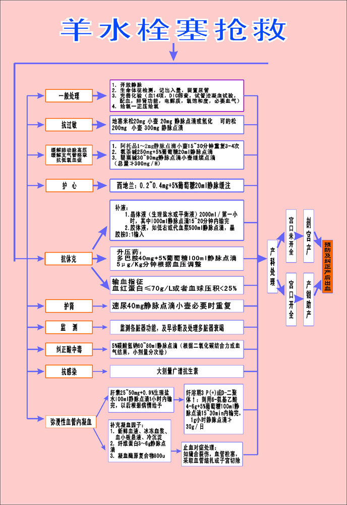 742海报印制展板写真喷绘贴纸826羊水栓塞抢救流程图