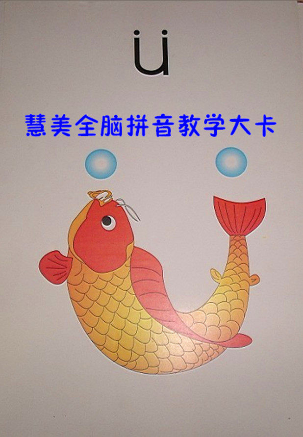 【慧美全脑拼音】教学大卡+挂图/早教认字拼音卡片/幼儿识字闪卡