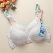 Slip jeunesse simple en coton - Ref 641293 Image 25