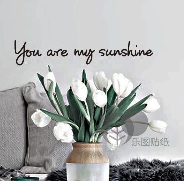 ins北欧墙纸 you are my sunshine英文墙贴你是我的阳光精雕贴纸