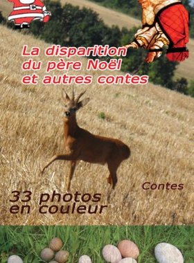 【预售】La Disparition Du Pere Noel Et Autres Contes