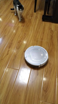 不知如何选科沃斯金睿与灵犀区别，科沃斯金睿这款扫地机器人好吗