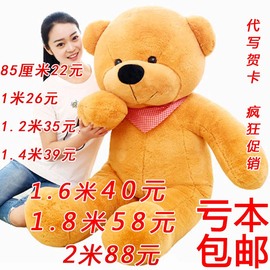 泰迪熊毛绒玩具熊1.6米公仔，大熊女生布娃娃，抱抱熊生日礼物送女友