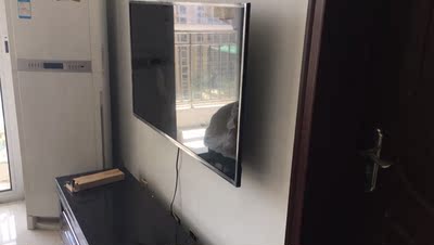 客观分析电视海信HZ43E35A和长虹43D5S哪个好，差别大不大？