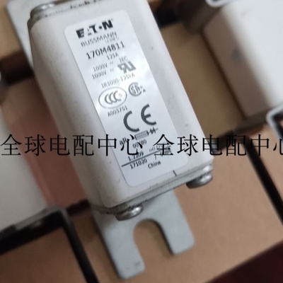 议价BUSSMANN保险丝 170M4812/4811/4813 170M4810 100A 1000V