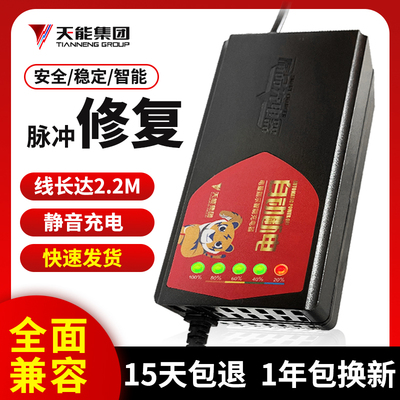 小刀新国标电动车电瓶充电器专用接口48V12A60V20AH72V32A三轮
