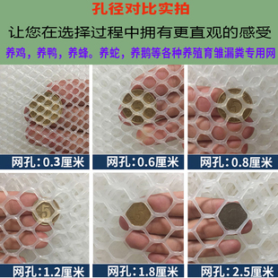 加厚塑料平网养殖网格养鸡网床养鸭养鹅养蜂围栏网脚垫育雏漏粪网