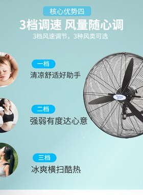 德通普风系列650MM750MM强力工业挂墙壁扇落地风扇DF650-TDF750-T
