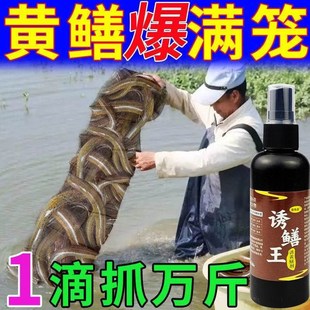 钓黄鳝饵料河虾泥鳅饲料诱小药鳝鱼王诱食剂蟮腥味捕灵开口虾笼