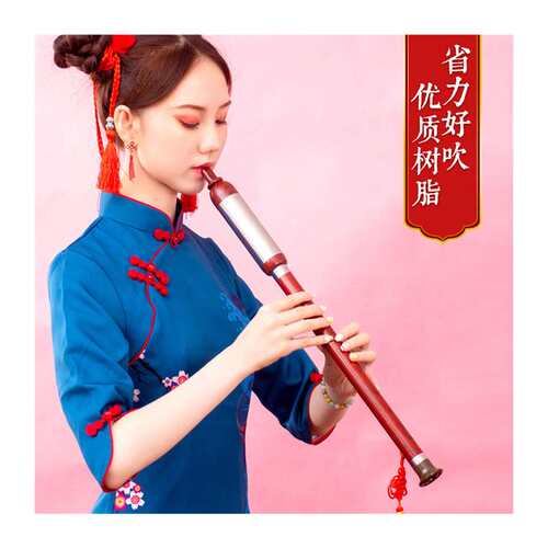 仿红木巴乌F调G调防摔音准耐用学生成人小孩初学竖吹巴乌民族乐器
