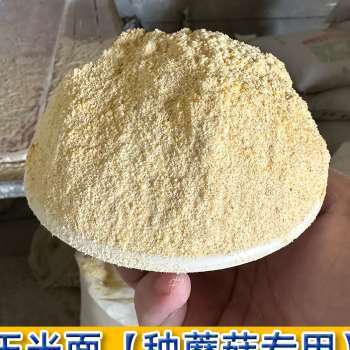 新品玉米芯稻草种蘑菇菌种食用菌三级栽培种石灰家庭养殖平菇接种