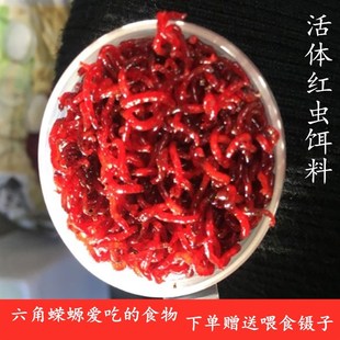 新鲜红虫牛心汉堡丰年虾冷冻w红线血虫鱼粮金鱼食七彩六角龙鱼饲