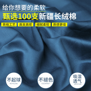 A类床笠2023年新款 100支纯棉床罩单件榻榻米全棉席梦思保护套定制