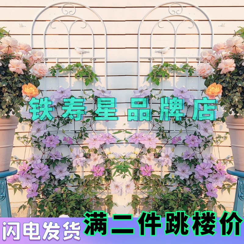 铁线莲爬藤架蔷薇月季种植花园栅栏户外花架支撑杆铁艺植物攀爬架
