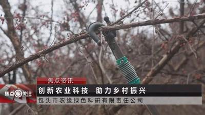 便携式果皮山茱萸采摘棘农缘震动果实收获萸肉摇枣电动.沙机打枣