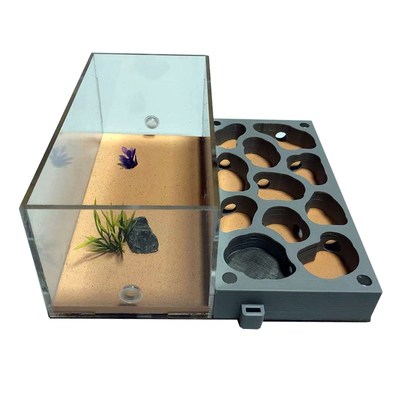3D Acryl Flat Ant Farm Ecological Ant Nest with Feeding Area