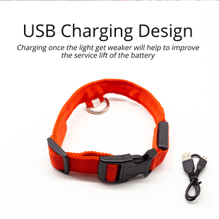 Luminous Collar Led 推荐 Pet Charging Safety Dog Usb