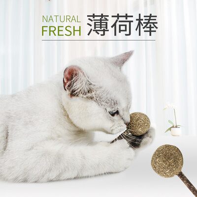 猫薄荷球棒棒糖木天蓼磨牙棒零食逗猫玩具自嗨逗猫棒猫咪用品