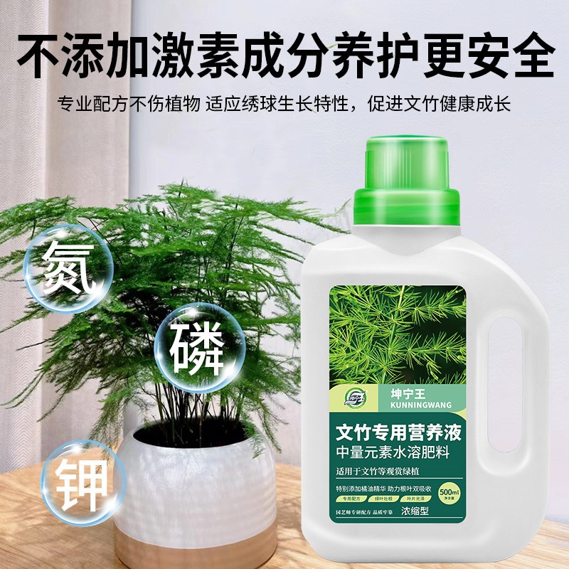 文竹营专用肥料营养液防治黄叶盆栽植物养花通用型花肥料盆景氮肥