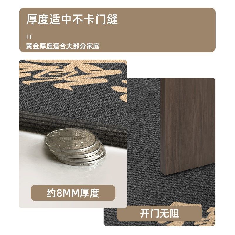 高级灰2024新款入户门垫耐脏加厚高级防滑垫家用免洗门口进门地毯,居家布艺,入户地垫,淘宝优惠券,粉丝福利购,淘宝优惠卷