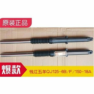 18A 150 5C钱江前减震器前叉避震器 钱江摩托车QJ125