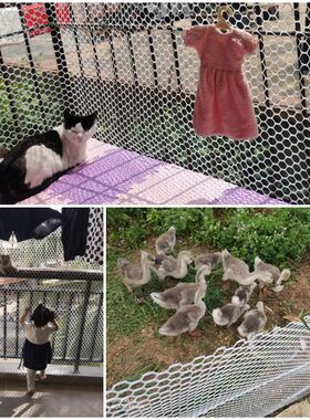 。网子围栏养殖网阳台全封闭神器养猫封窗防止猫跳窗高空防坠物格