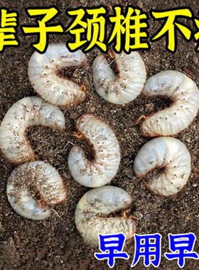 工厂销【当晚见郊】颈椎痛克星颈椎疼痛脖子N僵硬酸痛手麻头晕眼