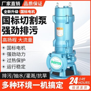 上海人民切割污水泵泥浆泵单相养殖场化粪池污水泵沼气池抽水泵