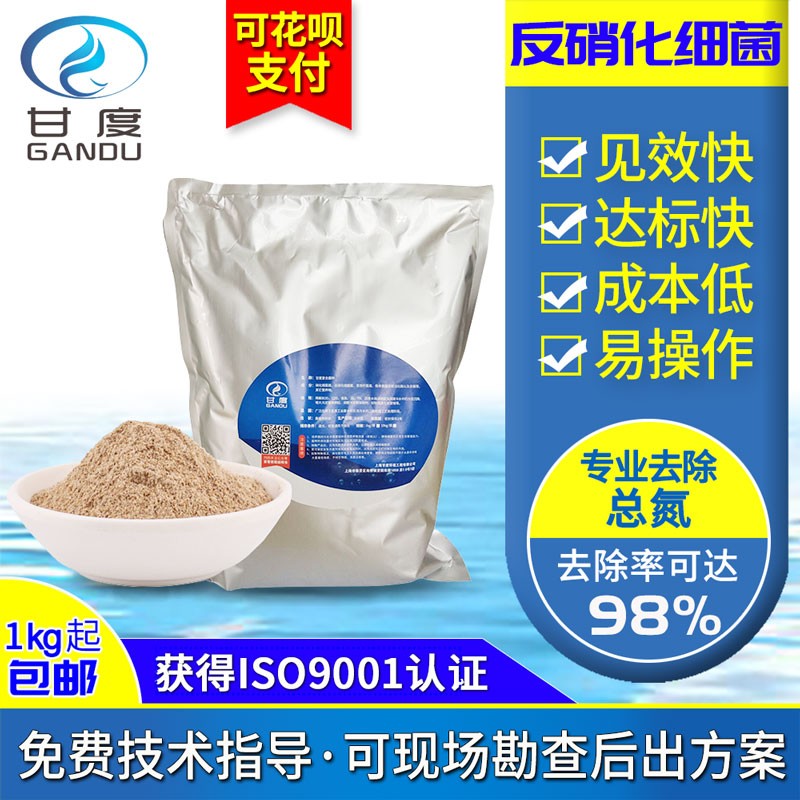 速发2021污水处理菌种复合反硝化细菌去除COD总氮氨氮好氧微