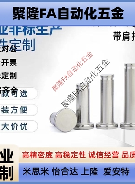 替代米思SHCCG8/10/6/5/4/12-10/15/20/25铰链销带肩扣环型