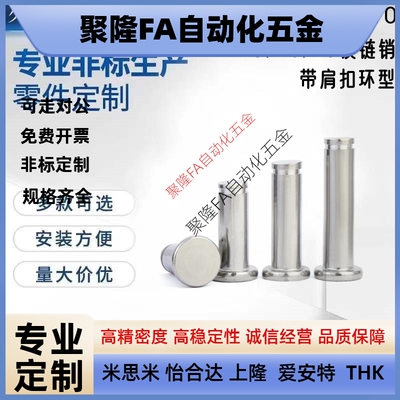 替代米思SHCCG8/10/6/5/4/12-10/15/20/25铰链销带肩扣环型