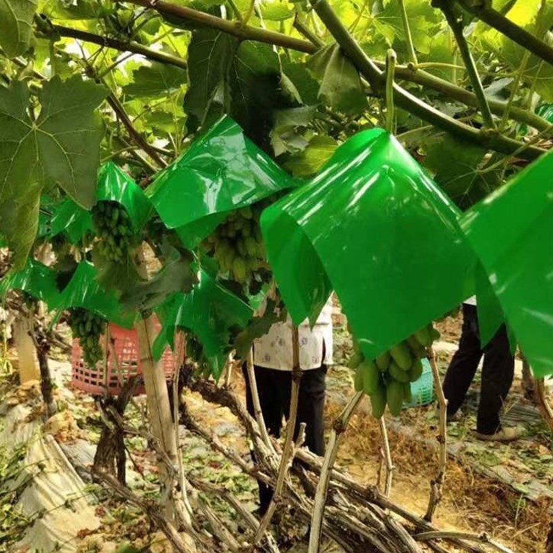 无纺布葡萄套袋水果果实防虫防水防雨防鸟加厚伞罩半纸半膜包装袋