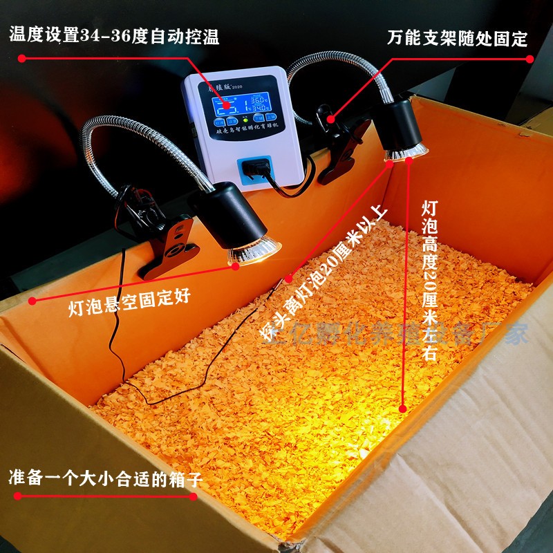 速发保温灯小鸡保温灯育雏灯小鸡保温设备养殖取暖灯鸡鸭鹅鹌鹑保图片