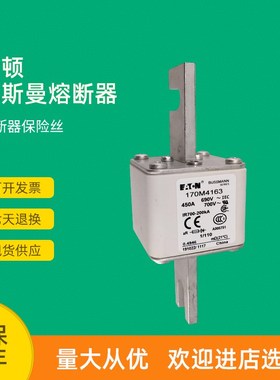 全新快速熔断器保险170M4164 170M4165 170M4166 170M4167
