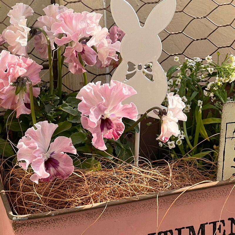 春季新品白色园艺小兔子动物花插花盆装饰花园阳台杂货花仙堂园艺