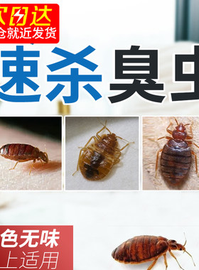 臭虫药杀虫剂床上专用吸血灭杀床虱宿舍防除臭虫一扫光净克星神器