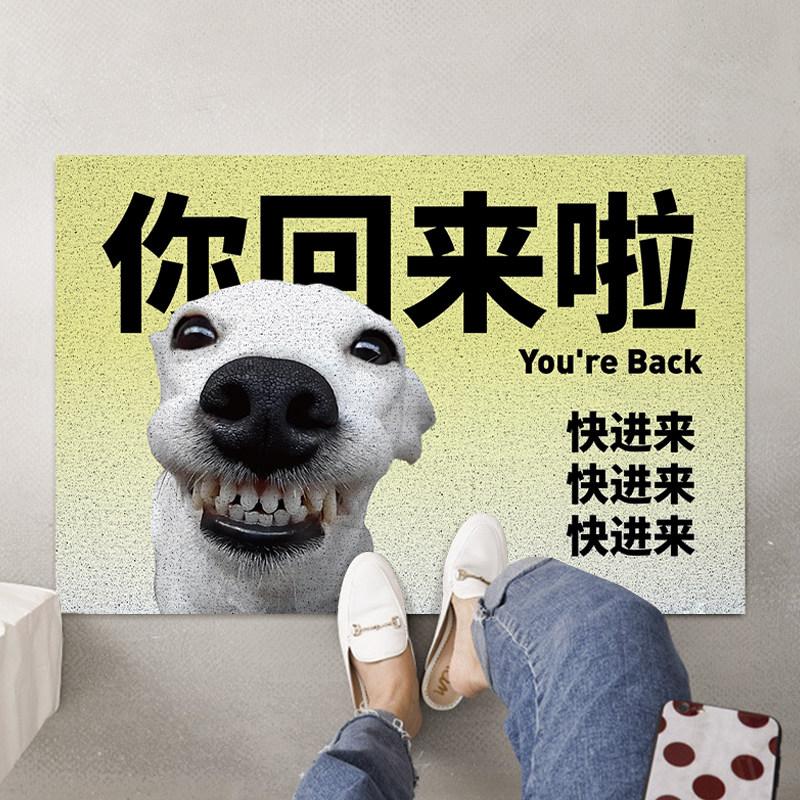 网红搞笑丝圈玄关进门地垫客厅入户门家用卧室地毯pvc防滑门垫子
