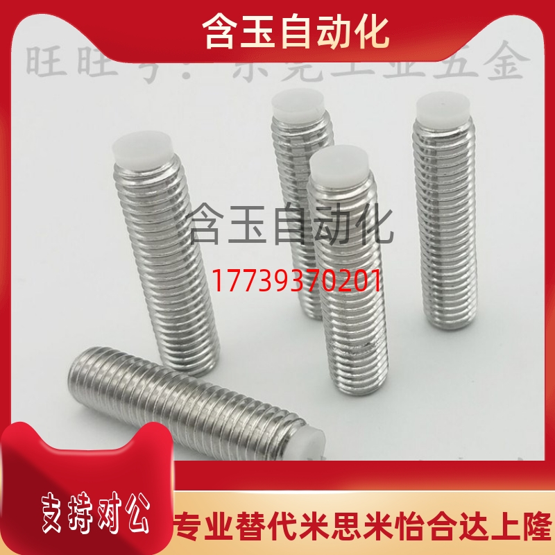 TDA26-M3/M4/M5-L5/L6/L8/L10/L12/L16/L20/L25 挡块止动螺钉
