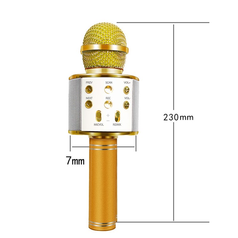 Bluetooth Wireless Microphone WS-858 Handheld Karaoke Mic SB