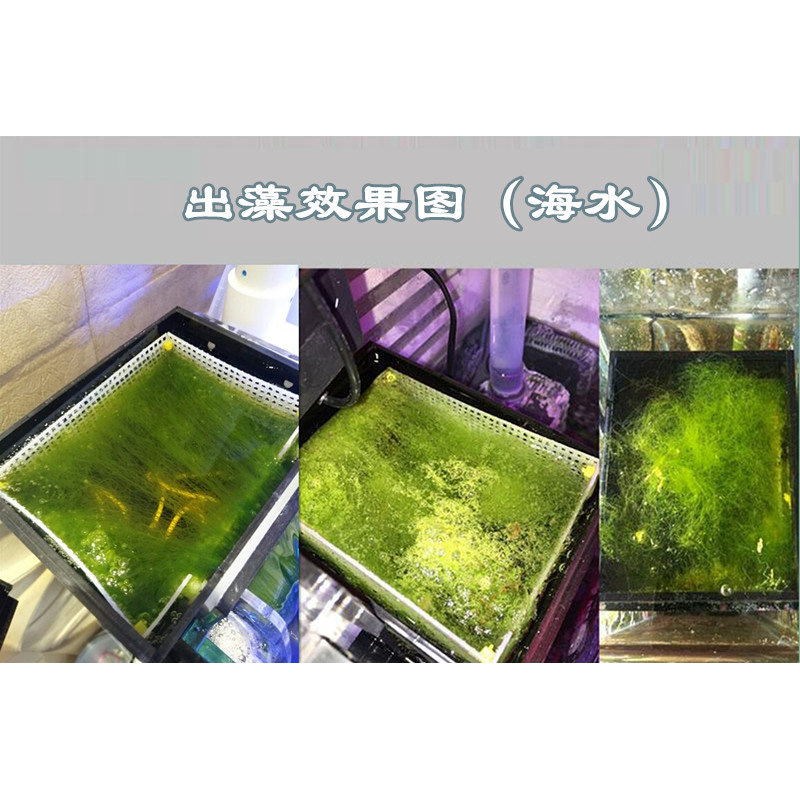 uas藻盒ats藻盒鱼缸生态过滤器外挂藻盒水泵一体式海缸z淡海水藻