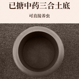 蛐蛐蟋蟀罐养盆黑虫n油葫芦用具品手工拉坯山东黄河澄浆泥精制包