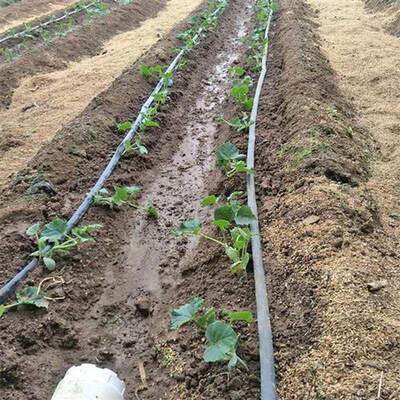 推荐滴灌带 草莓大棚蔬菜16mm滴水贴片式滴灌管 膜下滴灌 农用滴